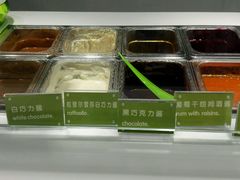 -Salud撒露欧洲冻酸奶(北苑上品店)