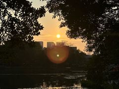 -荔湾湖公园