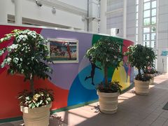 -九龙公园
