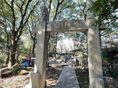 -上海佘山国家森林公园天马山园