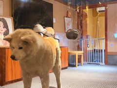-大江户·温泉洗浴(浑南店)