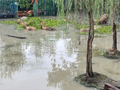 -溱湖国家湿地公园