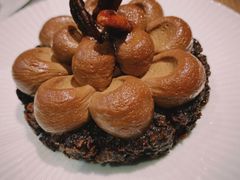 巧克力挞-潮一不贰·法式甜品·生日蛋糕·西式简餐(外滩店)