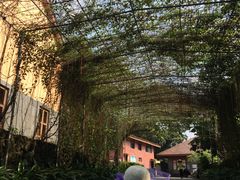 -开心农场温泉度假村