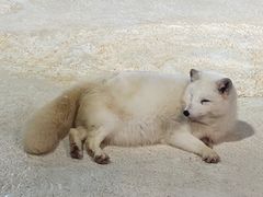 -珠海长隆海洋王国