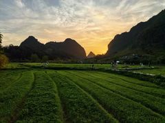 -靖西鹅泉风景区