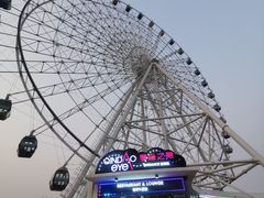 -琴岛之星摩天轮
