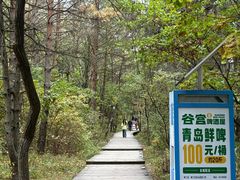 -帽儿山国家森林公园