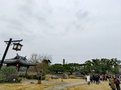 -江心屿景区