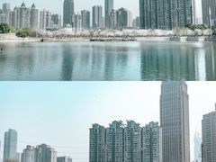 -西北湖绿化广场