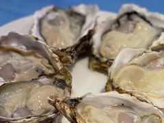 -千岛蚝高压锅生蚝·人参火锅(白云万达店)