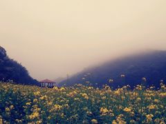 android_upload_pic-广州市石门国家森林公园