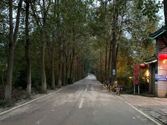 -白鹭湾湿地公园