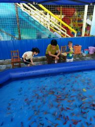 点击看大图 -大望京儿童游乐场