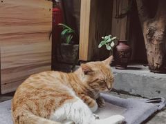 -悟饮门市景店
