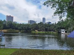 -晓港公园