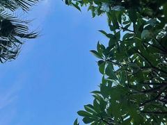 -深圳湾公园(南山区)
