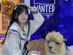 -Blue Concept Cafe&Farm·關於藍