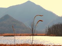 -大九湖