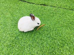 -萌宠亲子动物乐园(槐房万达店)