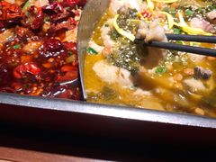 -舒来喜鱼锅(伊河路店)