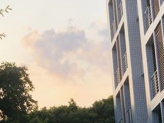 -双流老字号董蹄花(机场南四路店)