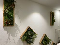 点击看大图 -薇薇安花系SPA