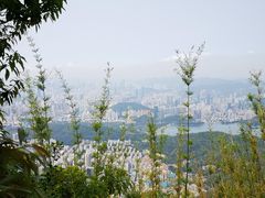 -梧桐山风景名胜区