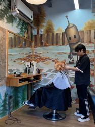 -竹马造型工作室