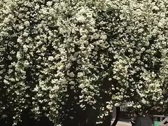 -郑和公园