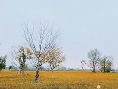 -良渚古城遗址公园
