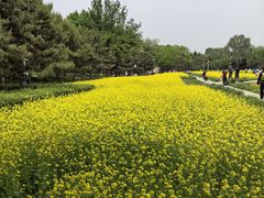-北坞公园