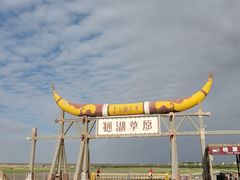-通湖草原