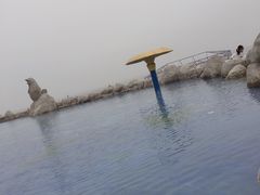 -渔岛海洋度假区