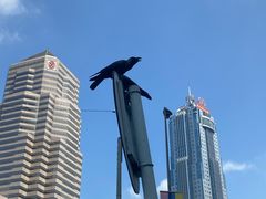-吉隆坡国油双峰塔