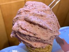 -野人牧坊Gelato(天津南开大悦城店)