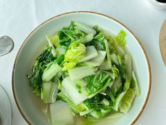 白菜苗-翡翠江南(国贸商城店)