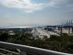 -新金盛·海鲜酒楼(盐田店)