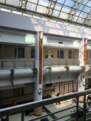 -上海交通大学医学院附属上海儿童医学中心(陆家嘴总院区)
