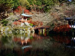景点-醍醐寺
