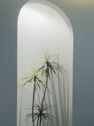 -VE专注问题肌·赛诺龙&科学美肤中心