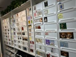 -小鬼当佳儿童摄影(回龙观店)