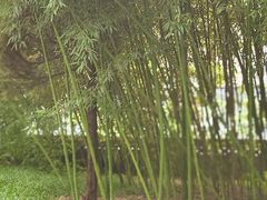 -宣武艺园