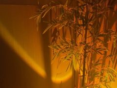 -宁采臣Sleep·采耳·SPA放松馆(湖里万达店)