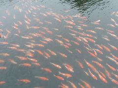 -长春市南湖公园