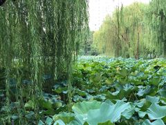 -圩墩遗址公园