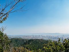-府君山公园