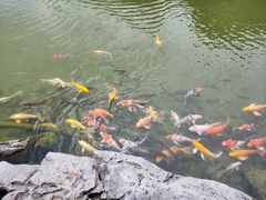 -扬州瘦西湖温泉