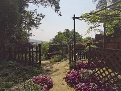 -南山植物园