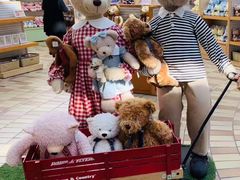 -济州岛泰迪熊博物馆